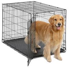 قفس سگ