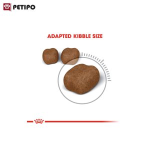 غذای خشک گربه مراقبت از دهان و دندان اورال رویال کنین (Royal Canin Cat Oral Care) وزن 1.5 کیلوگرم