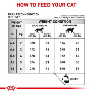 نحوه محاسبه میزان غذای مرطوب برای تغذیه گربه