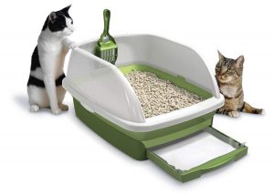 خاک گربه چیست؟
