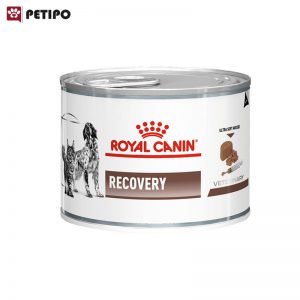 غذای کنسرو ریکاوری سگ و گربه رویال کنین (Royal Canin Recovery Wet) وزن 195 گرم