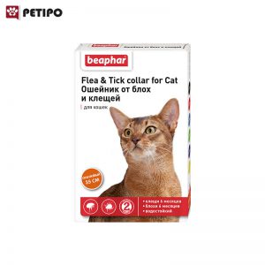 گربه ضد کک و کنه بیفار Beaphar Flea Tick Collar for Cat اندازه 35 سانت