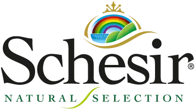 Schesi