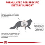 غذای خشک گربه هپاتیک رویال کنین (Royal Canin Cat Hepatic) وزن 4 کیلوگرم - تصویر 3