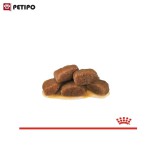 غذای پوچ گربه رنال با طعم ماهی رویال کنین (Royal Canin Cat Renal with Fish Pouch) وزن 85 گرم - تصویر 2