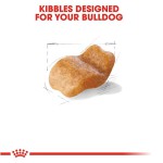 غذای خشک توله سگ بولداگ پاپی رویال کنین (Royal Canin Bulldog Puppy) وزن 3 کیلوگرم - Image 2