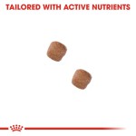 غذای خشک سگ نژاد کوچک دنتال رویال کنین (Royal Canin Dental Small Dog) وزن 3.5 کیلوگرم - Image 2