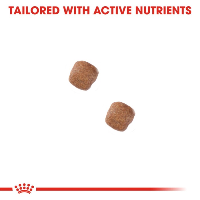 غذای خشک سگ نژاد کوچک دنتال رویال کنین (Royal Canin Dental Small Dog) وزن 3.5 کیلوگرم - Image 2