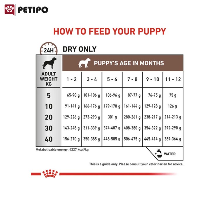 غذای خشک توله سگ گاسترو اینتستینال پاپی رویال کنین (Royal Canin Gastrointestinal Puppy) وزن 2.5 کیلوگرم - Image 3