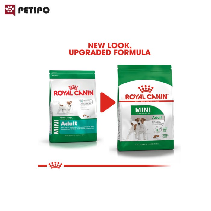 غذای خشک سگ مینی ادالت رویال کنین (Royal Canin Mini Adult) وزن 2 کیلوگرم - Image 8