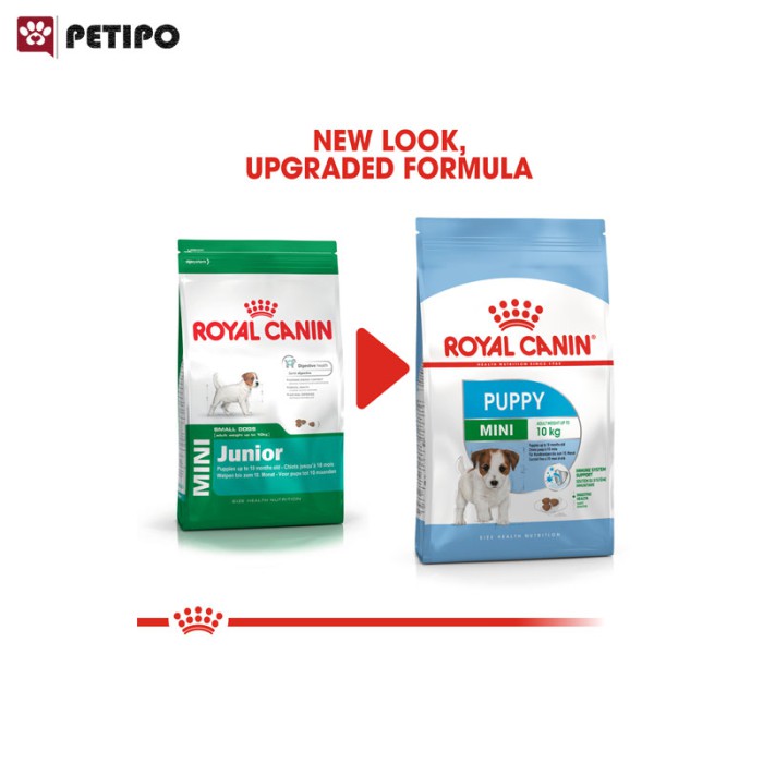 غذای خشک و پوچ سگ مینی پاپی رویال کنین (Royal Canin Mini Puppy With Gift) باکس هدیه 2 عددی - Image 4