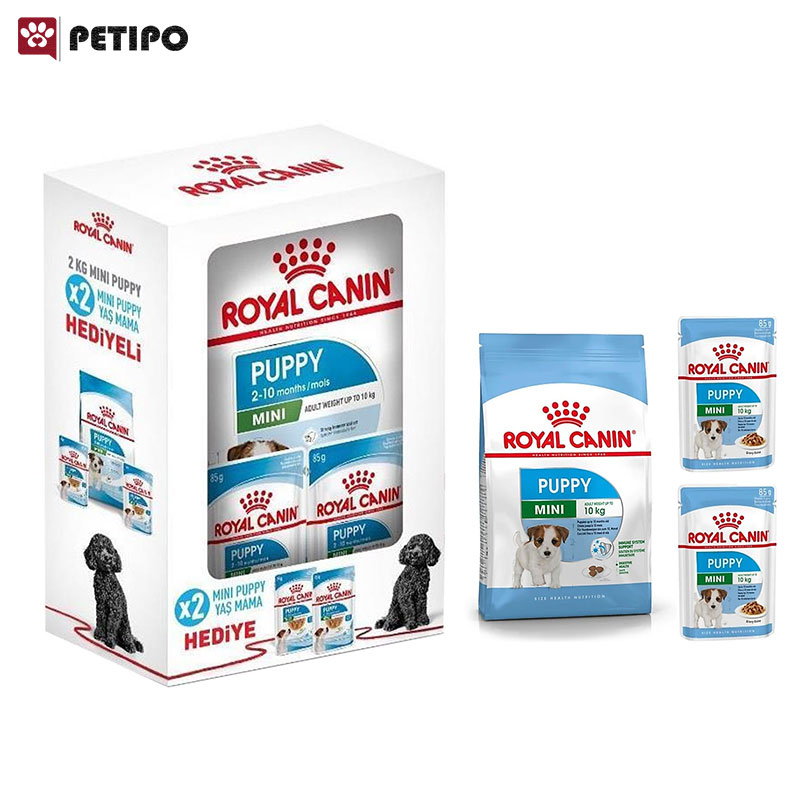 خشک-و-پوچ-سگ-مینی-پاپی-رویال-کنین-Royal-Canin-Mini-Puppy-With-Gift-باکس-هدیه-2-عددی.jpg غذای خشک و پوچ سگ مینی پاپی رویال کنین (Royal Canin Mini Puppy With Gift) باکس هدیه 2 عددی - Image 1