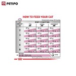 غذای خشک گربه رنال رویال کنین (Royal Canin Cat Renal Feline) وزن 2 کیلوگرم - Image 4