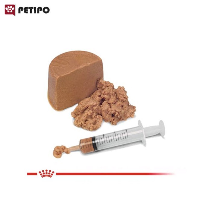 غذای کنسرو ریکاوری سگ و گربه رویال کنین (Royal Canin Recovery Wet) وزن 195 گرم - Image 2
