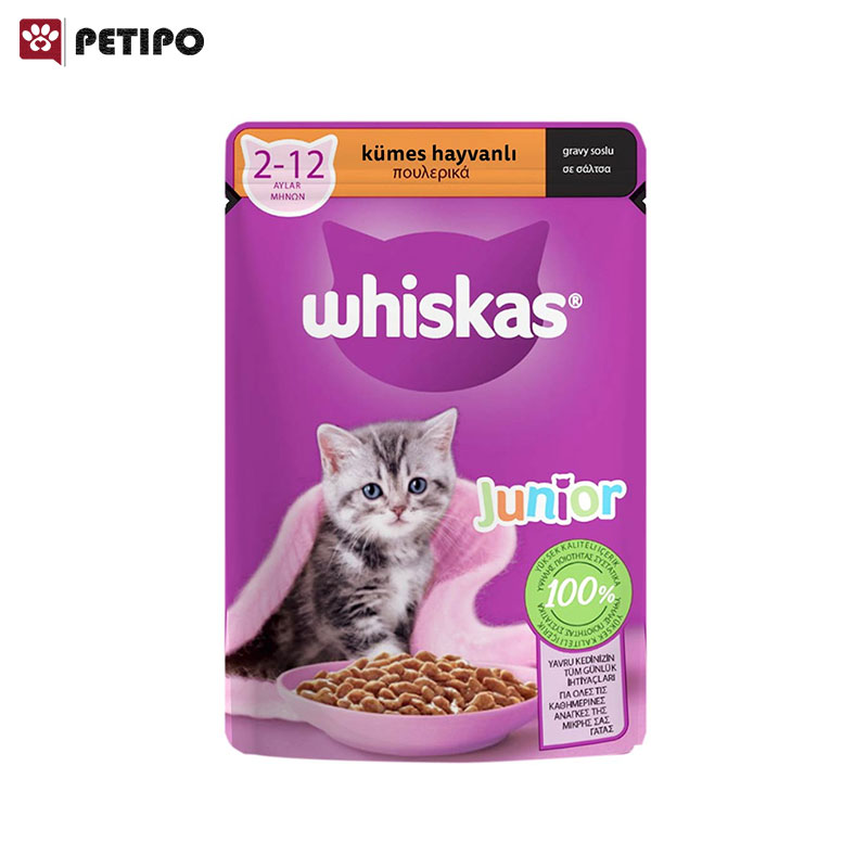 پوچ بچه گربه با طعم گوشت طیور ویسکاس Whiskas Poultry Junior Cat Pouch وزن 85 گرم